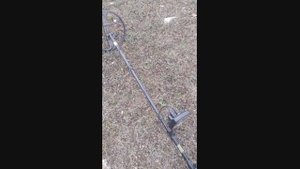 интроник тест