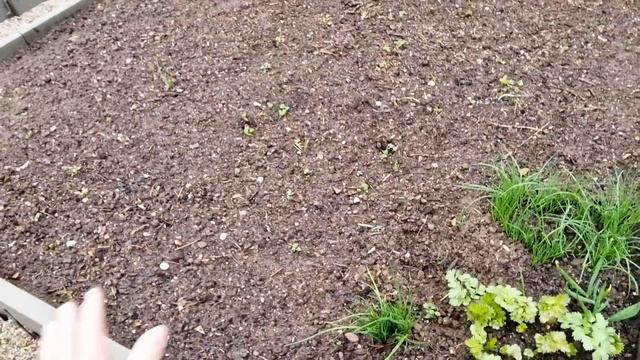 Залили бетонный фундамент под теплицу.. смотреть онлайн