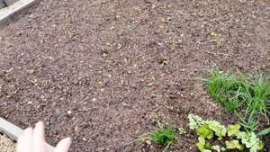 Залили бетонный фундамент под теплицу..