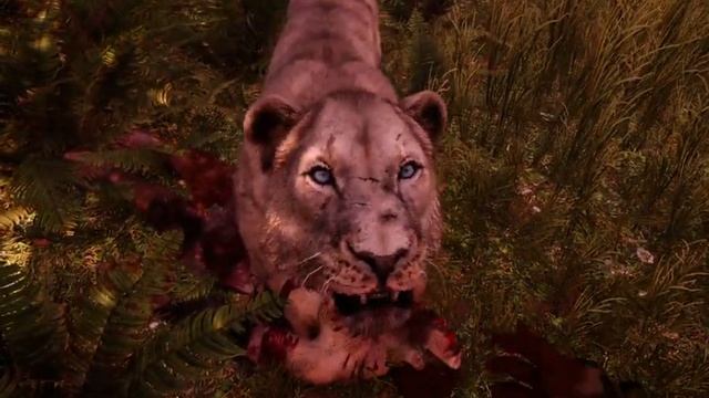Xeon e5450 ve Oem Rx460 Far Cry Primal High Ayarlar смотреть онлайн