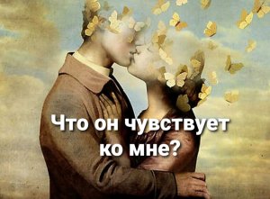 Что он чувствует ко мне? Таро с нежностью?