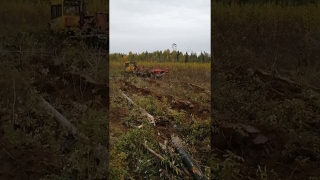 Подготовка почвы под лесные культуры трелевочником ТЛ-1 с плугом ПЛ-1. смотреть онлайн