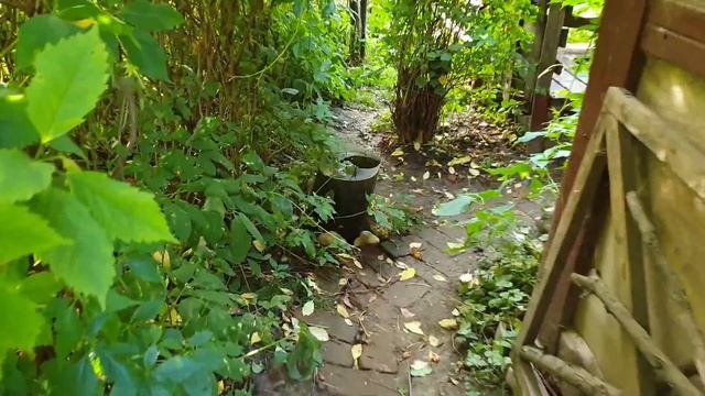 Про Мурлока и других хвостатых.