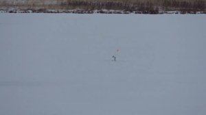 РАССТАВИЛ ЖЕРЛИЦЫ ЗАПРЕЩЁННЫМ СПОСОБОМ! УСТАЛ БЕГАТЬ! Поклевка за поклевкой!