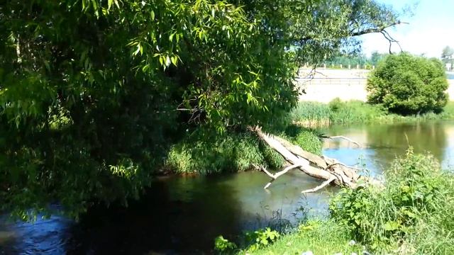 Истринский район МО, с.Павловская Слобода, речка и окрестности (4) смотреть онлайн