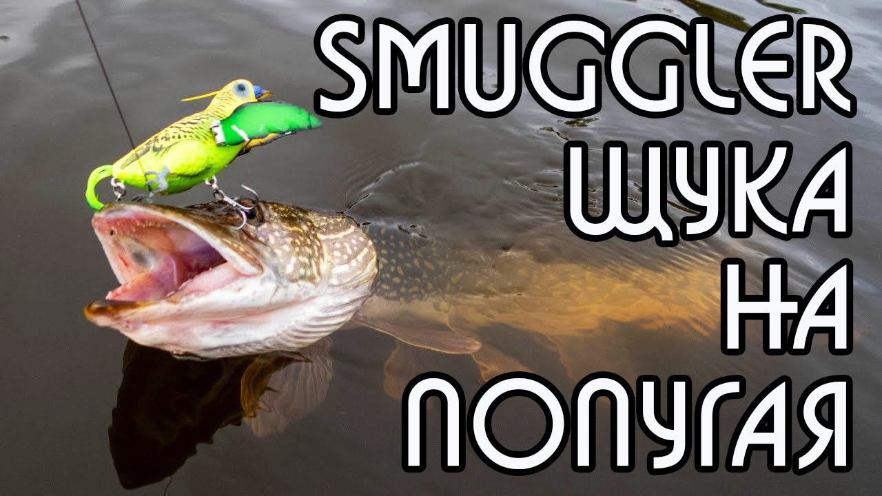 Как поймать щуку на попугая (The Smuggler от Chasebaits). DF 57