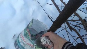 Самое эффективное средство от Медведки,Проволочника,личинок.