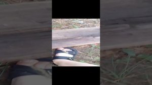 Аномалии в деревне#Чернобыль#ужасы#приколы