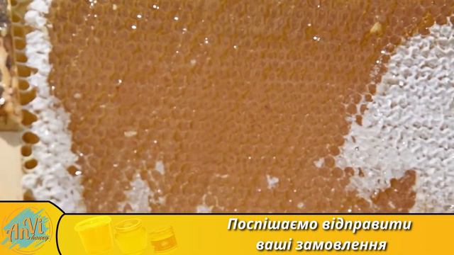 Семейная пасека AnVi honey смотреть онлайн