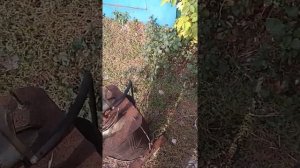 Опрессовка двигателя Шкода Октавия