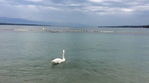 Beautiful Lake Geneva and Beach In Geneva, Switzerland #geneva #lakegeneva #switzerland