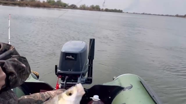 РЫБАЛКА В АСТРАХАНИ.НАЧАЛО ВЕСЕННЕГО СЕЗОНА 2022(день второй). смотреть онлайн