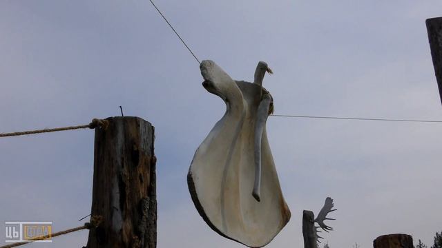 Природный парк «Олений» (2022, Краснинский район, Липецкая область)