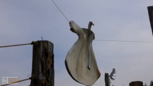 Природный парк «Олений» (2022, Краснинский район, Липецкая область)