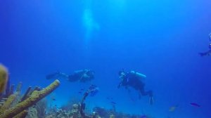 Scuba Diving in Bahia de las Aguilas, Dominican Republic Buceo en Bahia de las Aguilas