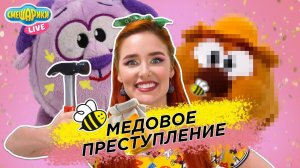 МЕДОВОЕ ПРЕСТУПЛЕНИЕ! Таня Мур и Смешарики чинят крышу после нашествия пчёл!