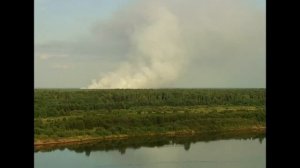 Лесные пожары 2010 Выкса село Теплово сгорело