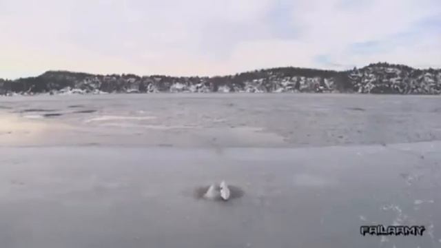 Нарезка удивительных возможностей человека «X-73» смотреть онлайн