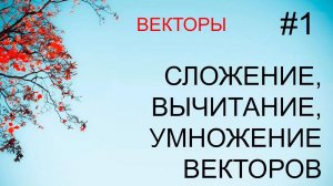 Векторы #1: сложение, вычитание, умножение на число