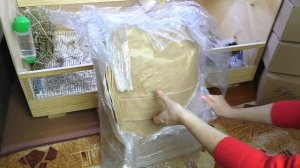 ЗООПОКУПКИ / РАСПАКОВКА ПОСЫЛКИ  29КГ / ХОМКИ В ШОКЕ / Чем кормить морскую свинку / Alisa Easy Pets