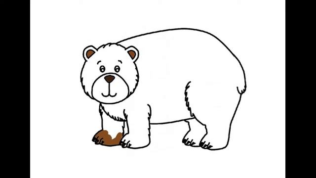 Как нарисовать Бурого медведя. Раскраска Бурый медведь для детей смотреть онлайн