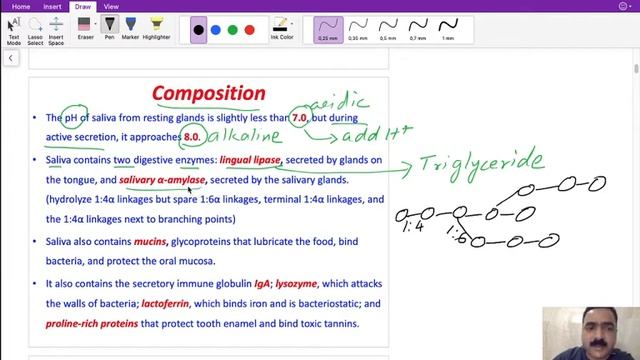 Digestive system Salivation GIT 1 by Dr Praveen, Curacao смотреть онлайн
