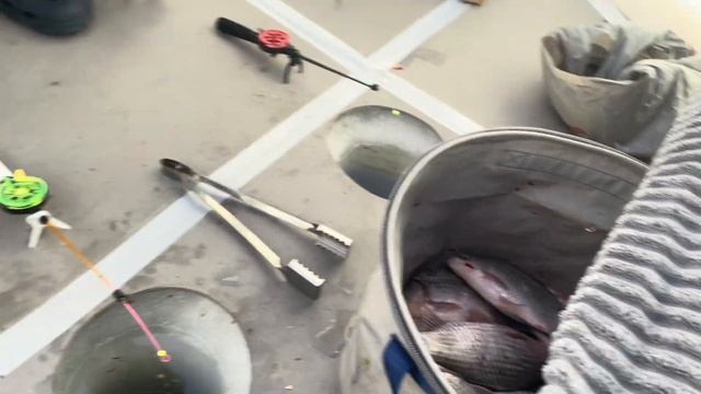 Первое видео!! Рыбалка на озере Чаны! Остров редкий!