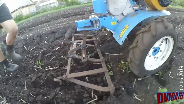 Борона для мотоблока МБ 23 из тракторной, боронование и посадка временной горчицы смотреть онлайн