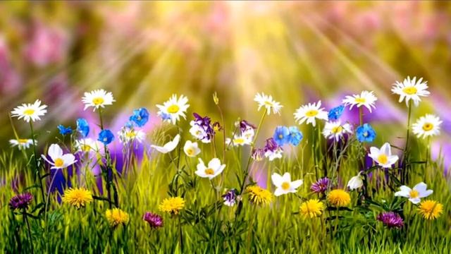 Природа футаж смотреть онлайн