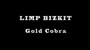 LIMP BIZKIT - Gold Cobra (2011) - drum cover