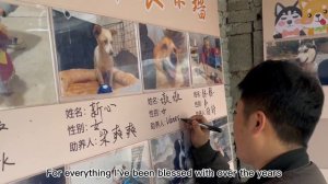 People who love to help, look at the smile on the dog's face