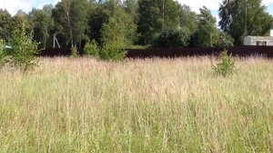 Участок 15 соток в районе деревни Завалипьево Чеховского района МО за 1,099 млн. руб.