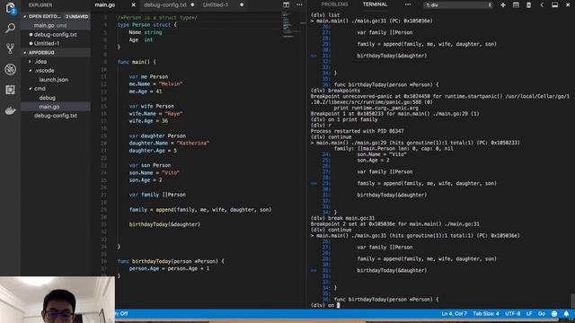 Debugging Go Apps using Delve смотреть онлайн