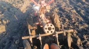 Дискую вспаханную люцерну после вспашки люцерны. #мотоблок