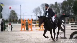 Конный спорт легко?