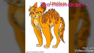 Кто ты из котов воителей по знаку зодиака