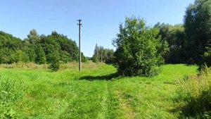 Забытые Деревни Липецкой Области. Есть ли жизнь в заброшенных местах?