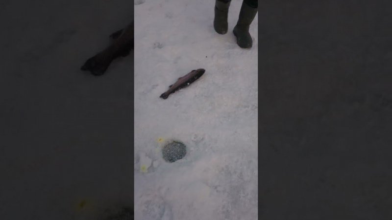 Жара