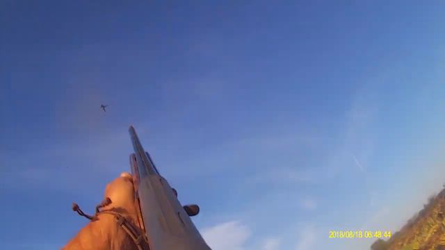 Хорошая охота на голубя 2018 смотреть онлайн