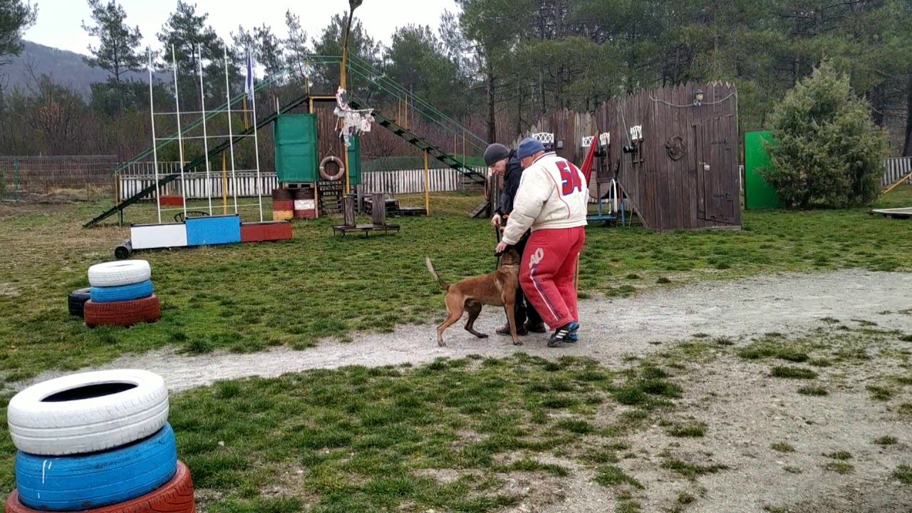 ОХРАНА ПРОВОДНИКА. МОНДЬОРИНГ-1