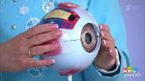 Отслойка стекловидного тела. Жить здорово! Фрагмент выпуска от 21.11.2017