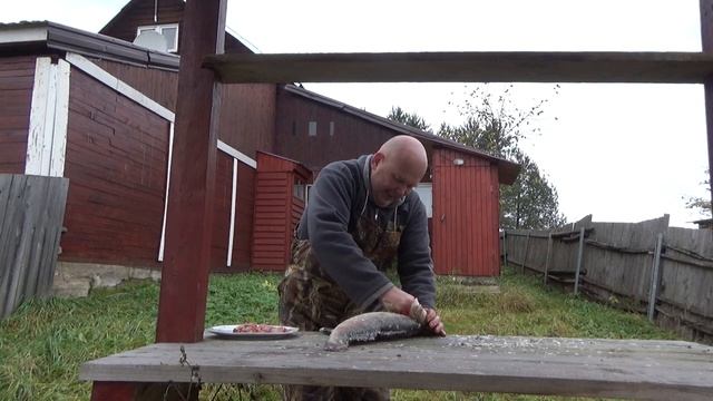 Судак по селигерски. В брусничном соусе ,с помидорами- запеченный в духовом шкафу ,шведской печки смотреть онлайн