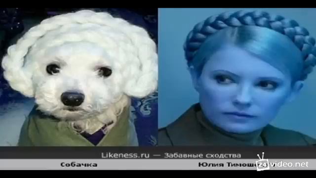 смешные сходства смотреть онлайн