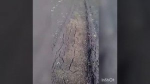 апрель 2021 года село Шалап Алтайский край