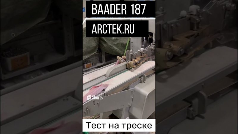 Разделка филе трески на Baader 187