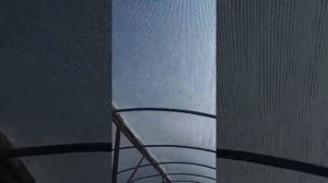 Супер Огурец Модер F1 от компании Minami seeds.