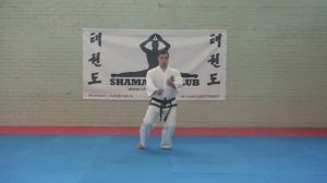 1. 9-й Гуп. Чон-Джи Туль / Chon-Ji Tul (Pattern) - Taekwon-Do ITF. Shamanin Club (Russia).