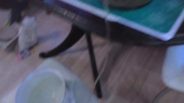 Мой аквариум с гуппи. Быстрый запуск 5 литрового аквариума. смотреть онлайн