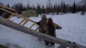 Как ненцы живут на Крайнем Севере? - 73 °C