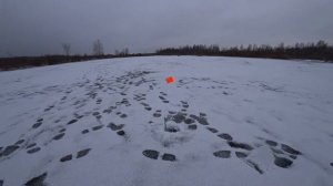 Щука на жерлицы зимой. Поставил на болоте. И вот что получилось.....